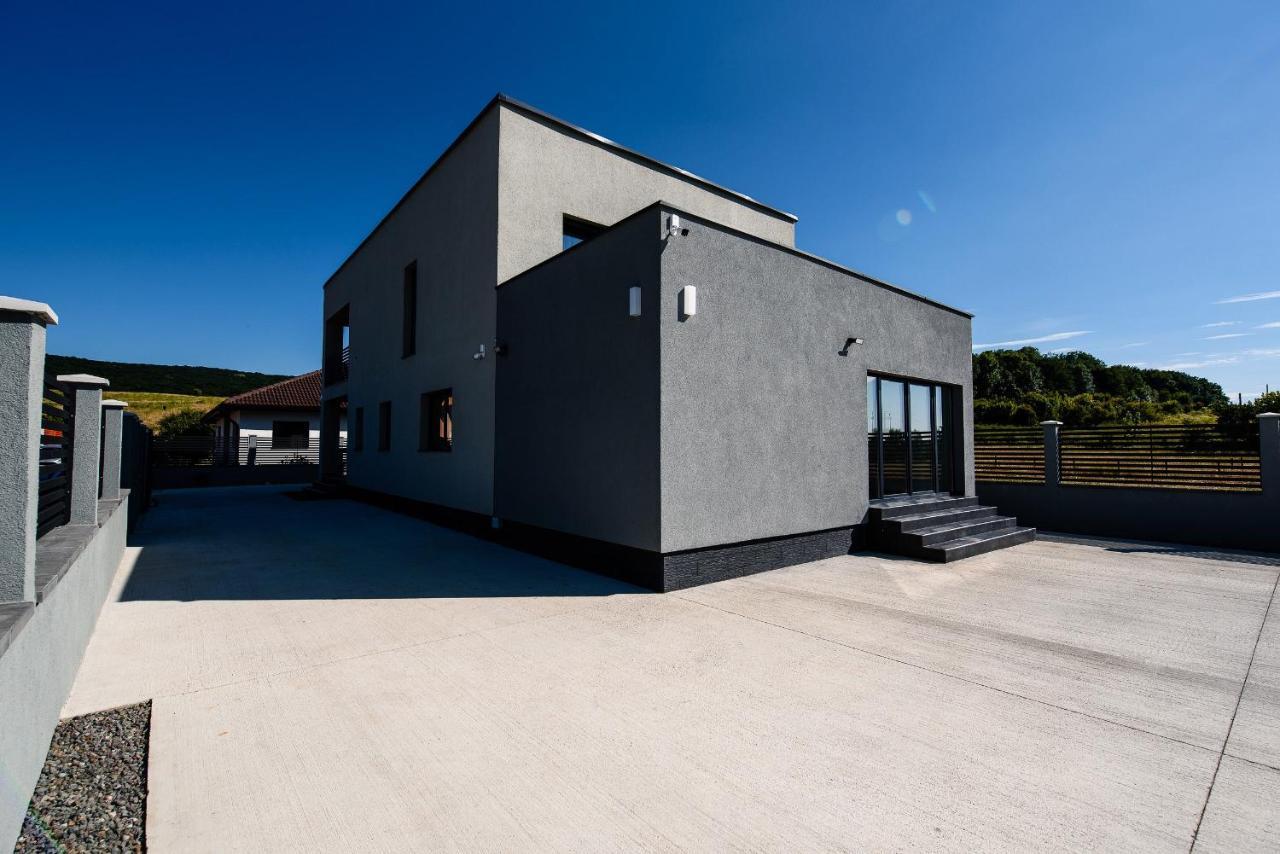 Concept Villa Livezeni  Zewnętrze zdjęcie